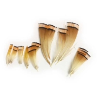Golden Pheasant Tippets (Natures Spirit)