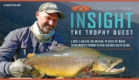 Insight: The Trophy Quest