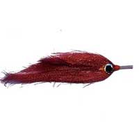 Shark Fly