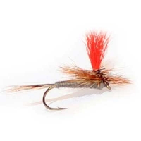Parachute Adams Bright Wing