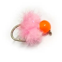 Eggstacy Fl Shrimp Pink OTB