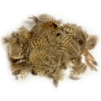 Woodcock Feathers - Body Plumage