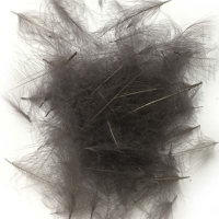 Cdc Feathers Packs Natures Spirit