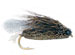 Clarks Cicada