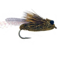 Clarks Cicada