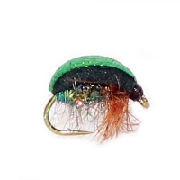 Glister Green Beetle