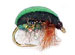 Glister Green Beetle