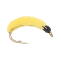 The Floating Willow Grub