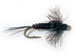 Deleatidium Pre Emerger