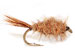 Nymphs: Mayflies