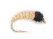 White Caddis