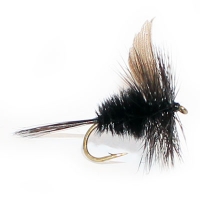 Black Gnat Blowie