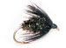 Black and Peacock