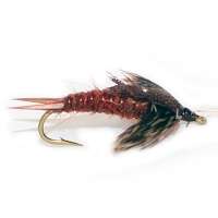 Stone Fly Carty'S Brown