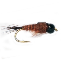 Seans Backcountry Bug Tb