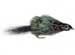 Mrs Simpson Fish Skull