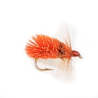 Hot Sedge 14