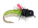 Hot Green Caddis