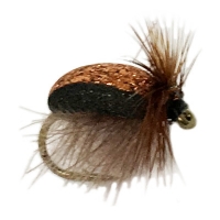 Cdc Brown Beetle