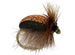 Cdc Brown Beetle