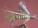 Dry Flies: Emergers