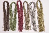 Centipede Legs