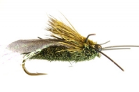 Cicada Rubberlegs