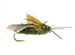 Cicada Rubberlegs