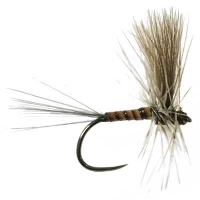 Cdc Super Sleuth Bl