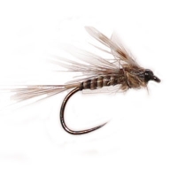 Nz Mayfly Emerger