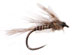 Nz Mayfly Emerger