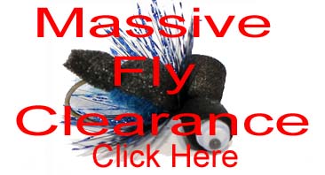 Massive Fly Clearance