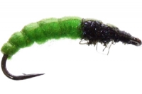 Magic Caddis Green