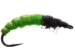 Magic Caddis Green