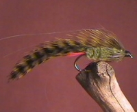 Orbit Green