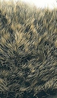 Hare Fur Patch