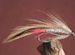 Jack Sprat