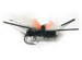 Kiwi Cricket Gnat Blowfly