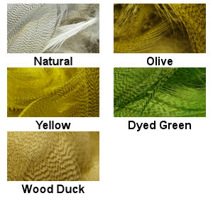 Mallard Flank