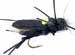 Ninny Cricket Cicada