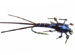 Russells No-Hackle Mayfly