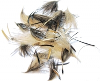 Ostrich Chick Feathers