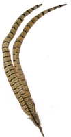 Pheasant Tails (Seconds)