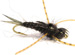 Rubber Stone Black Btb