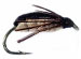 Water Boatman