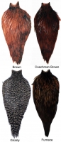 American Rooster Cape