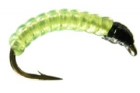 Willow Grub